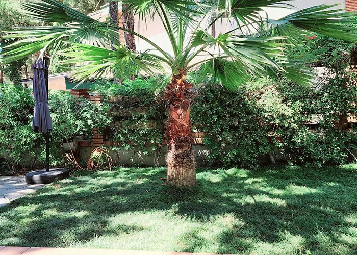 Pinetrees Gem Vila Golem (Tirana)