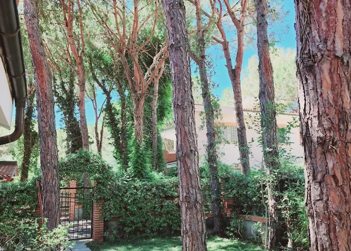 Pinetrees Gem Vila Golem (Tirana)