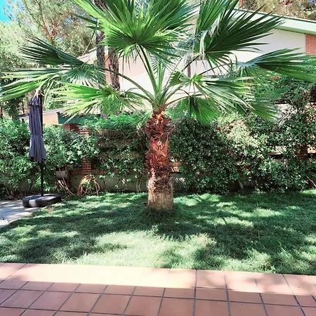 Pinetrees Gem Vila Golem (Tirana)