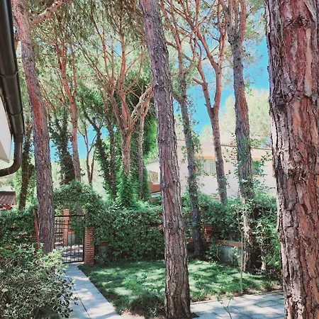 Pinetrees Gem 빌라 골렘