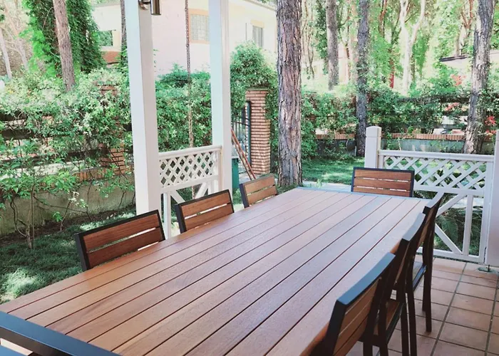 Pinetrees Gem * 格勒姆